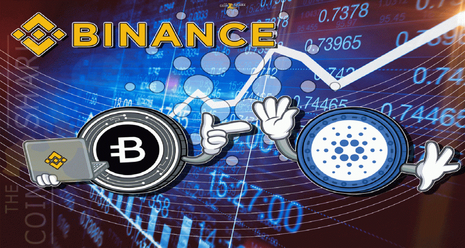 Is Binance Safe & Reliable to Store Cryptocurrencies?
